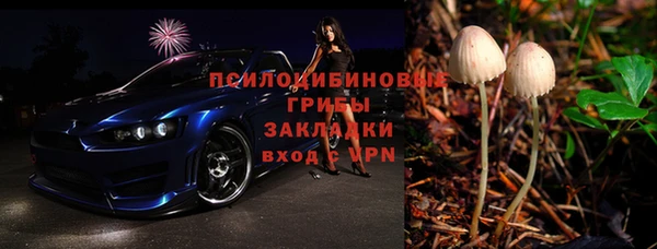 PSILOCYBIN Алексеевка