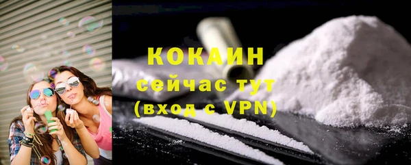 стафф Алексин