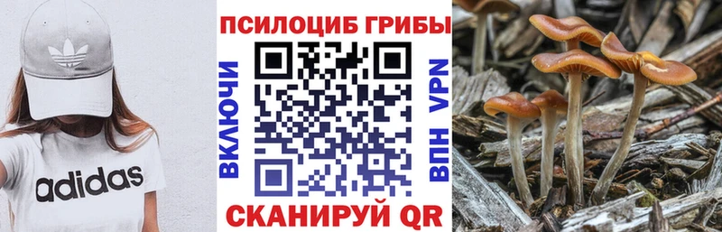 даркнет как зайти дарнет шоп Черногорск Галлюциногенные грибы мицелий